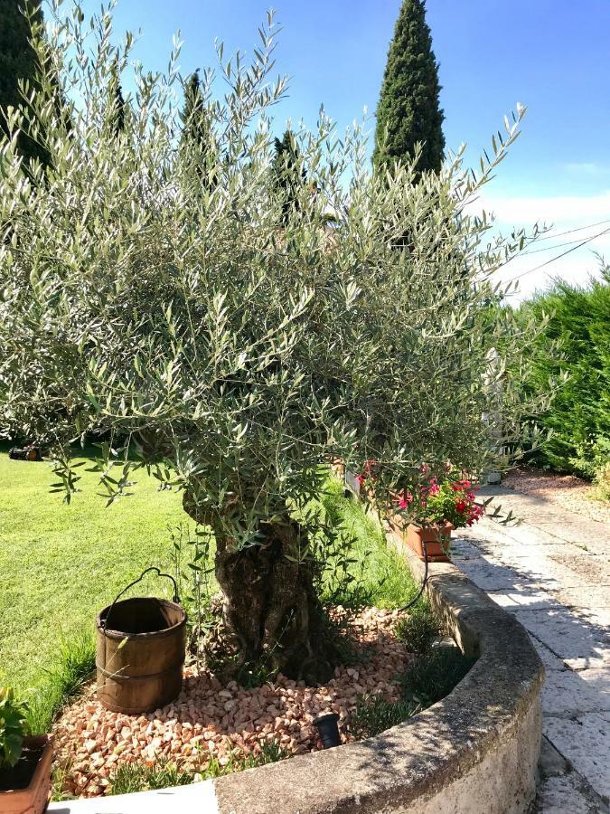 B&B Castel Montorio Verona Luaran gambar